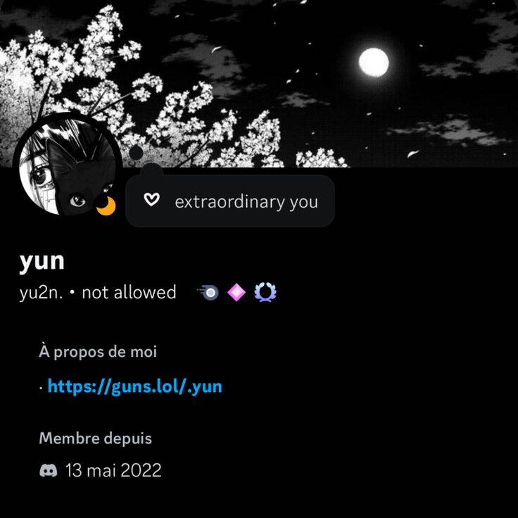 Mystical Moonlit Black Cat pfp Profile Picture