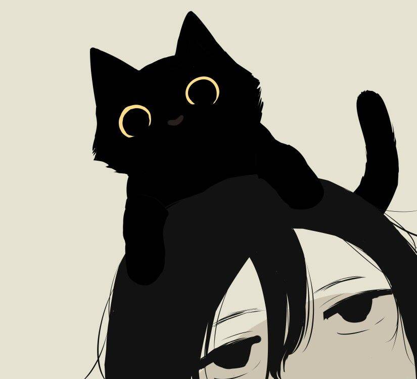 Adorable Black Cat pfp Profile Picture with Playful Expression