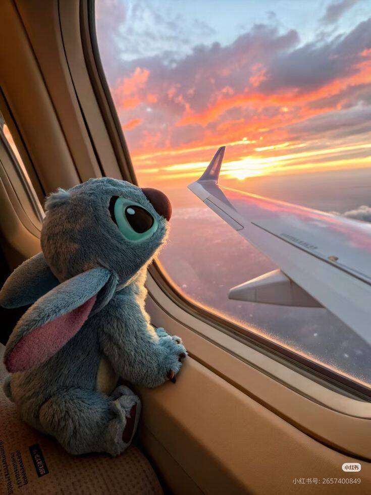Stitch pfp Profile Picture Watching Sunset from Airplane