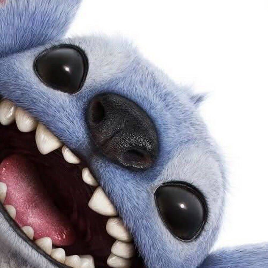 Stitch pfp Profile Picture Close Up Laughing Face