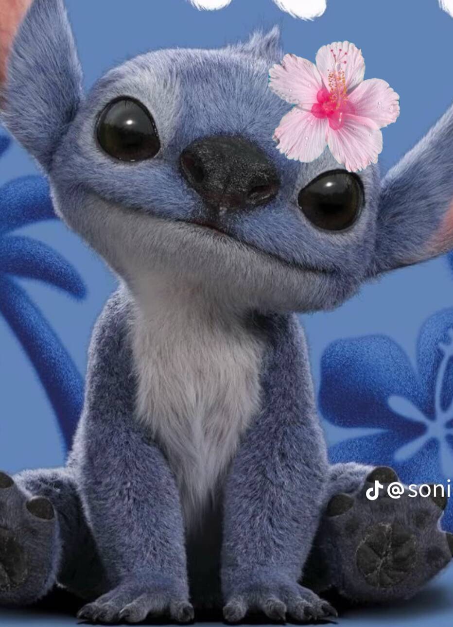 Stitch pfp Profile Picture Cute Floral Accessory