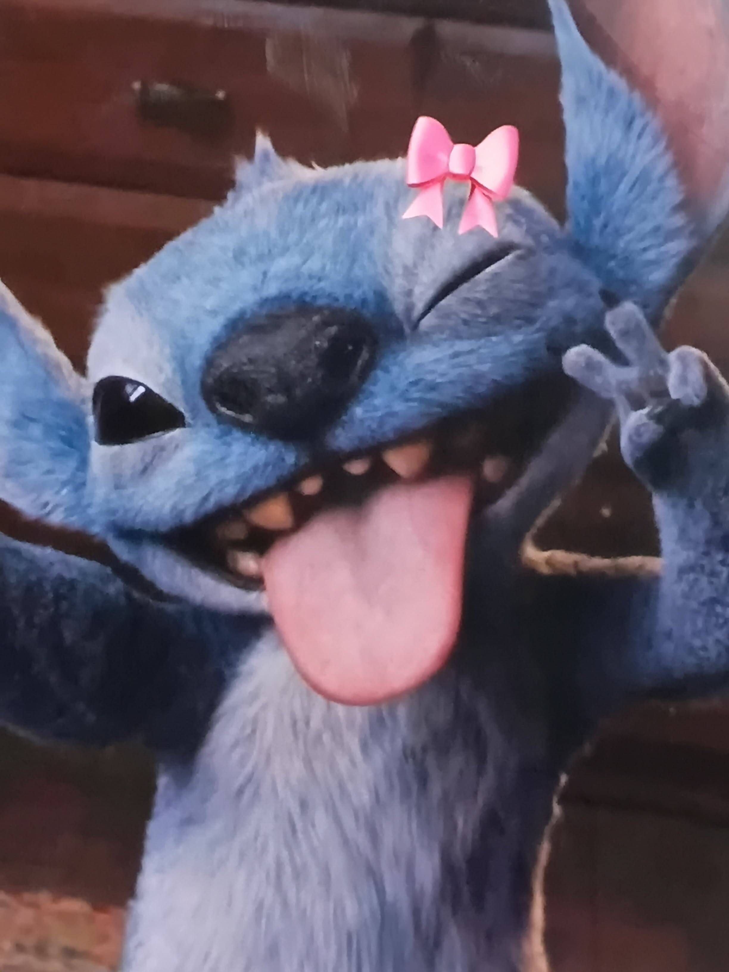 Stitch pfp Profile Picture with Cute Pink Bow and Playful Tongue Out