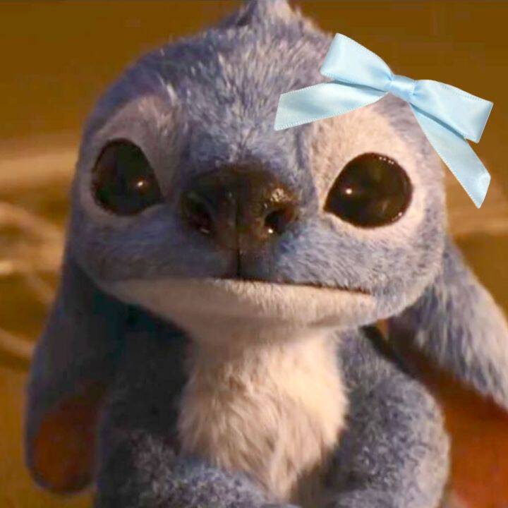Stitch pfp Profile Picture with Cute Blue Bow