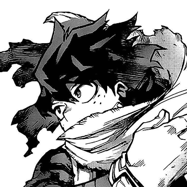 Deku pfp Profile Picture Black and White Manga Style