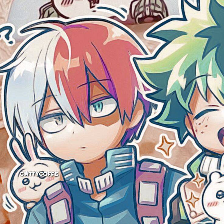 Deku and Todoroki PFP Profile Picture My Hero Academia