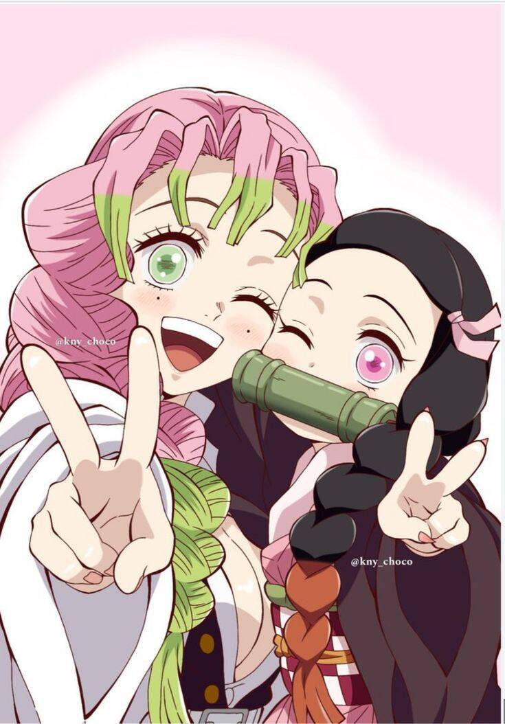 Demon Slayer pfp Profile Picture Mitsuri and Nezuko Cute Duo