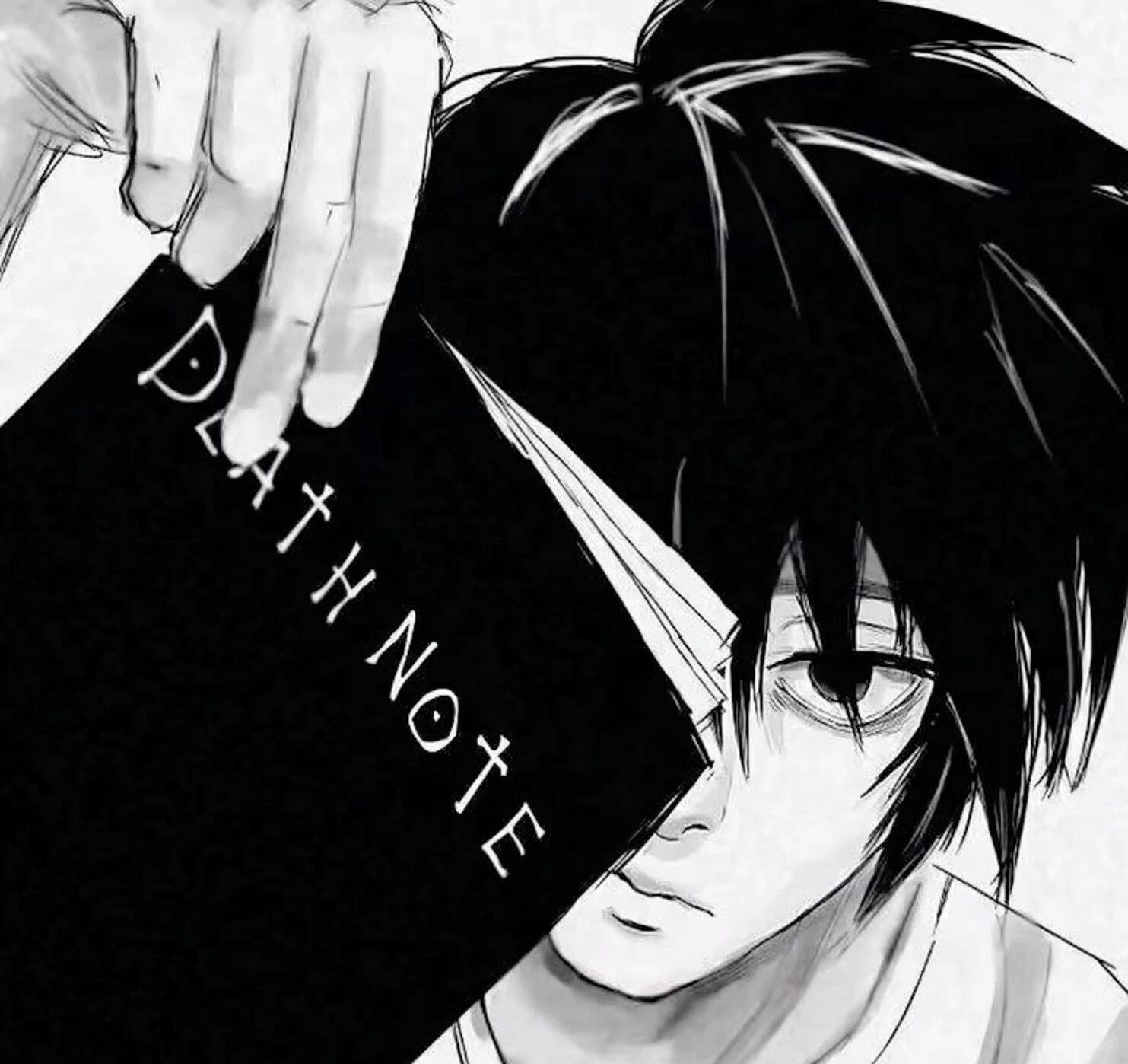 Death Note pfp Profile Picture L Holding Death Note