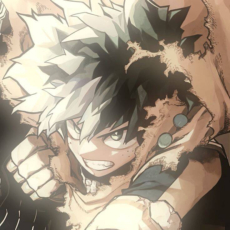 Deku pfp Profile Picture My Hero Academia Battle Stance