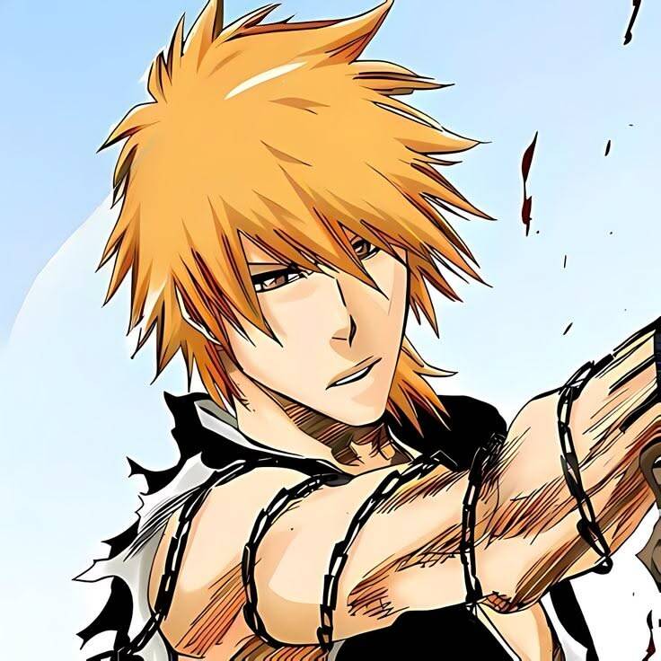Bleach pfp Profile Picture Ichigo Kurosaki Bankai