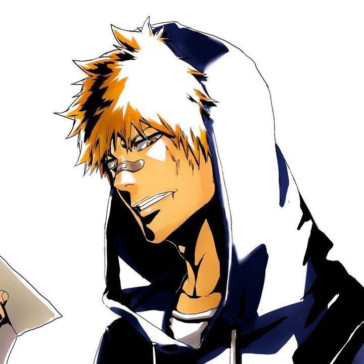 Bleach pfp Profile Picture Ichigo Kurosaki Casual Hoodie