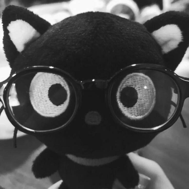 Black and White pfp Profile Picture Cute Cat with Glasses