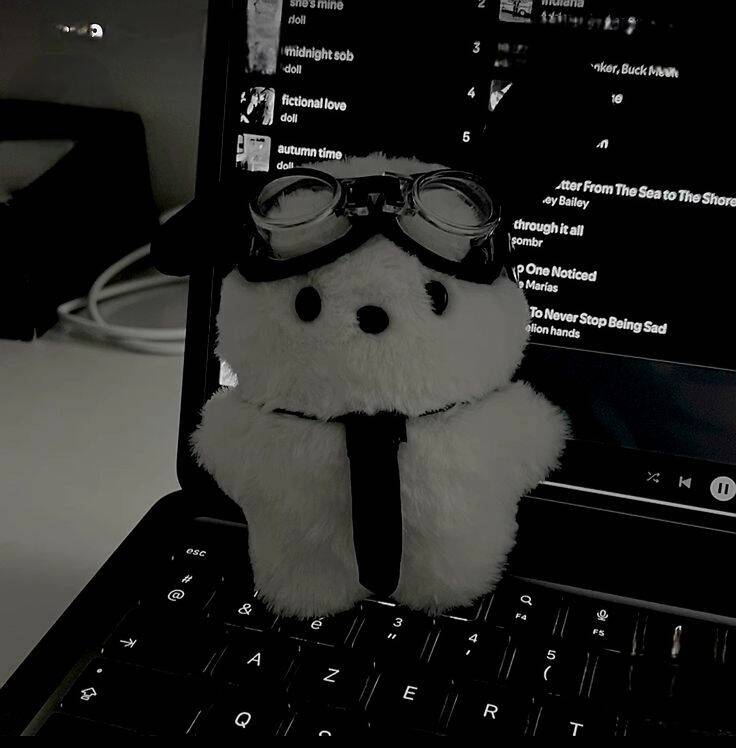 Black and White pfp Profile Picture Cute Plush Toy Aesthetic