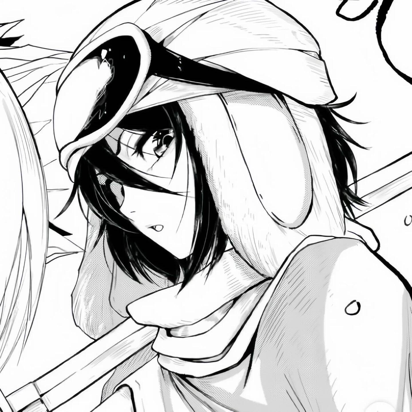 Bleach pfp Profile Picture Yoruichi Shihouin Cat Form