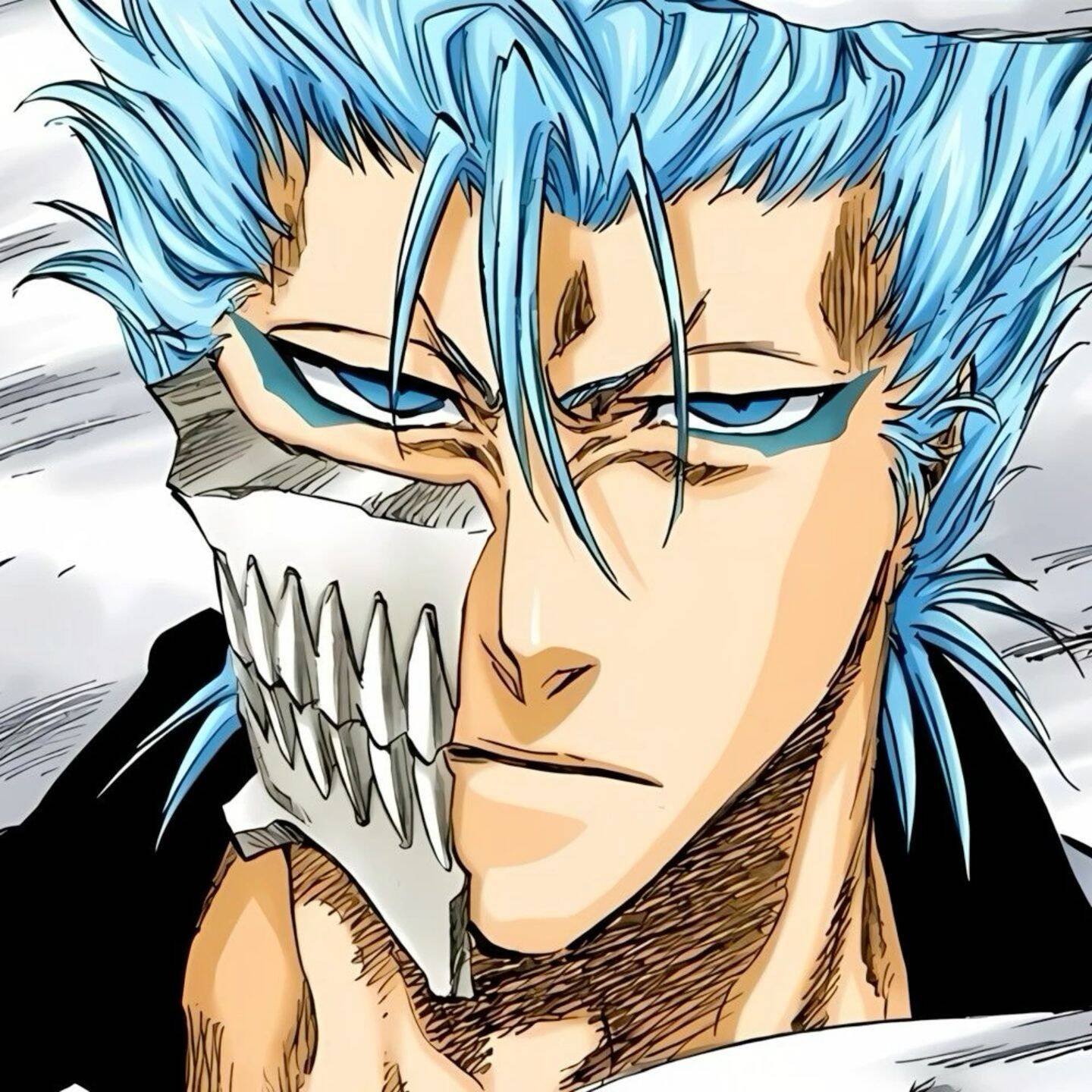 Bleach pfp Profile Picture Grimmjow Jaegerjaquez Espada