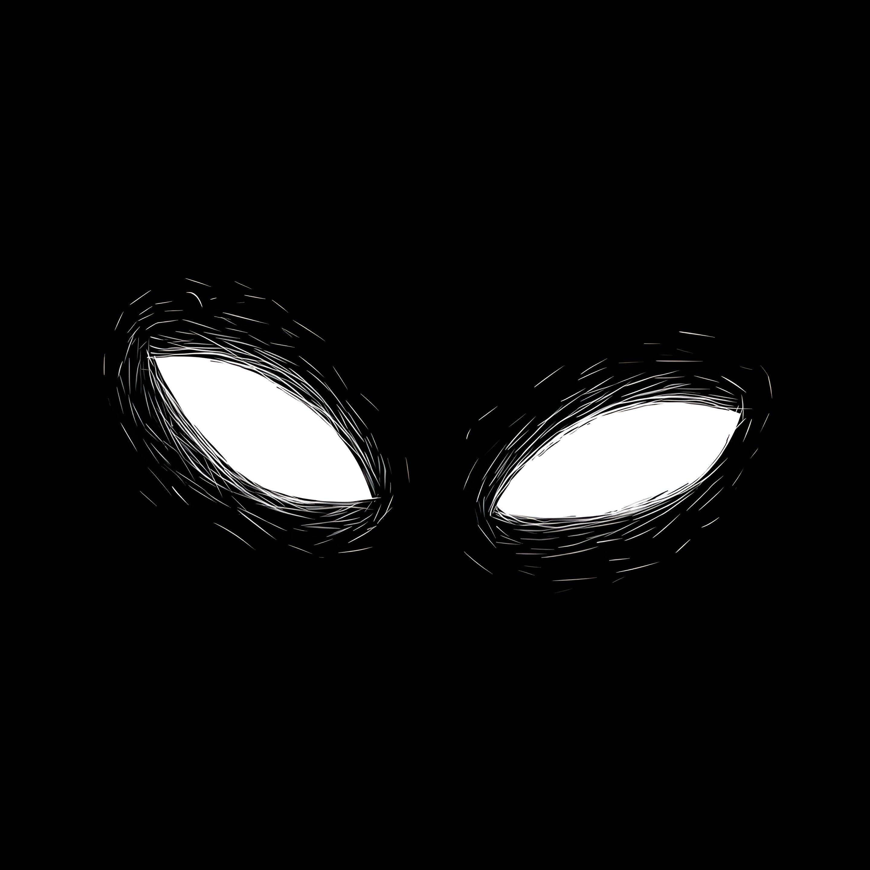 Mysterious Eyes Black and White pfp Profile Picture