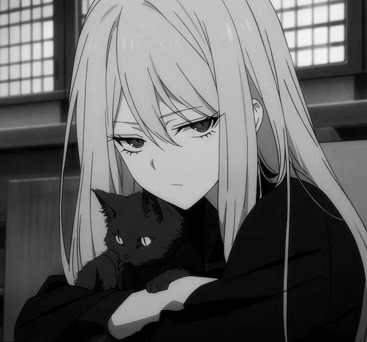Anime Girl with Cat Black and White pfp Profile Picture