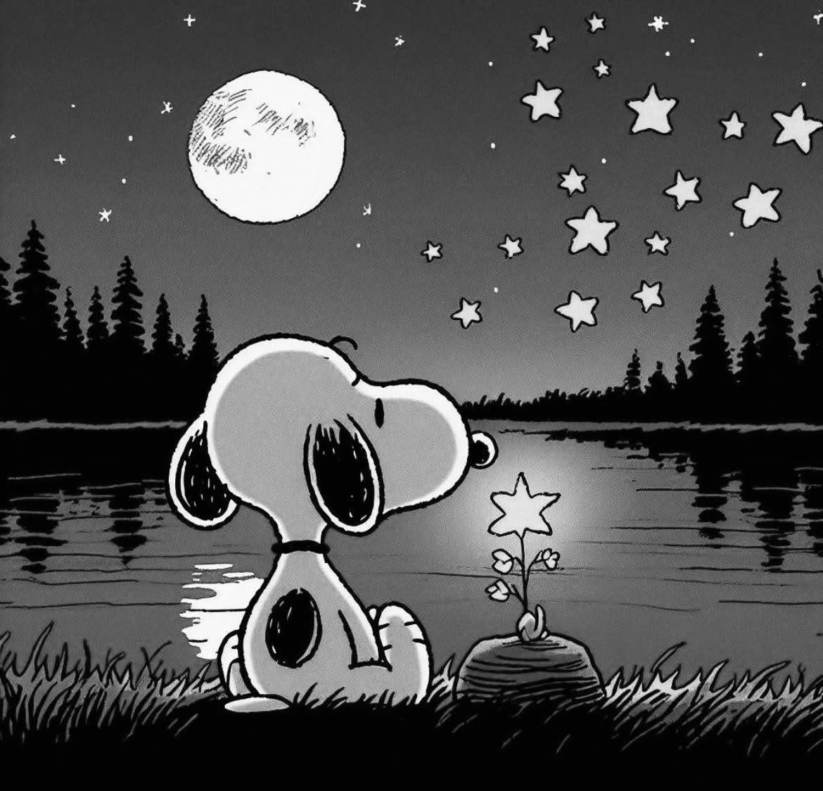 Black and White pfp Profile Picture Dreamy Night Scene