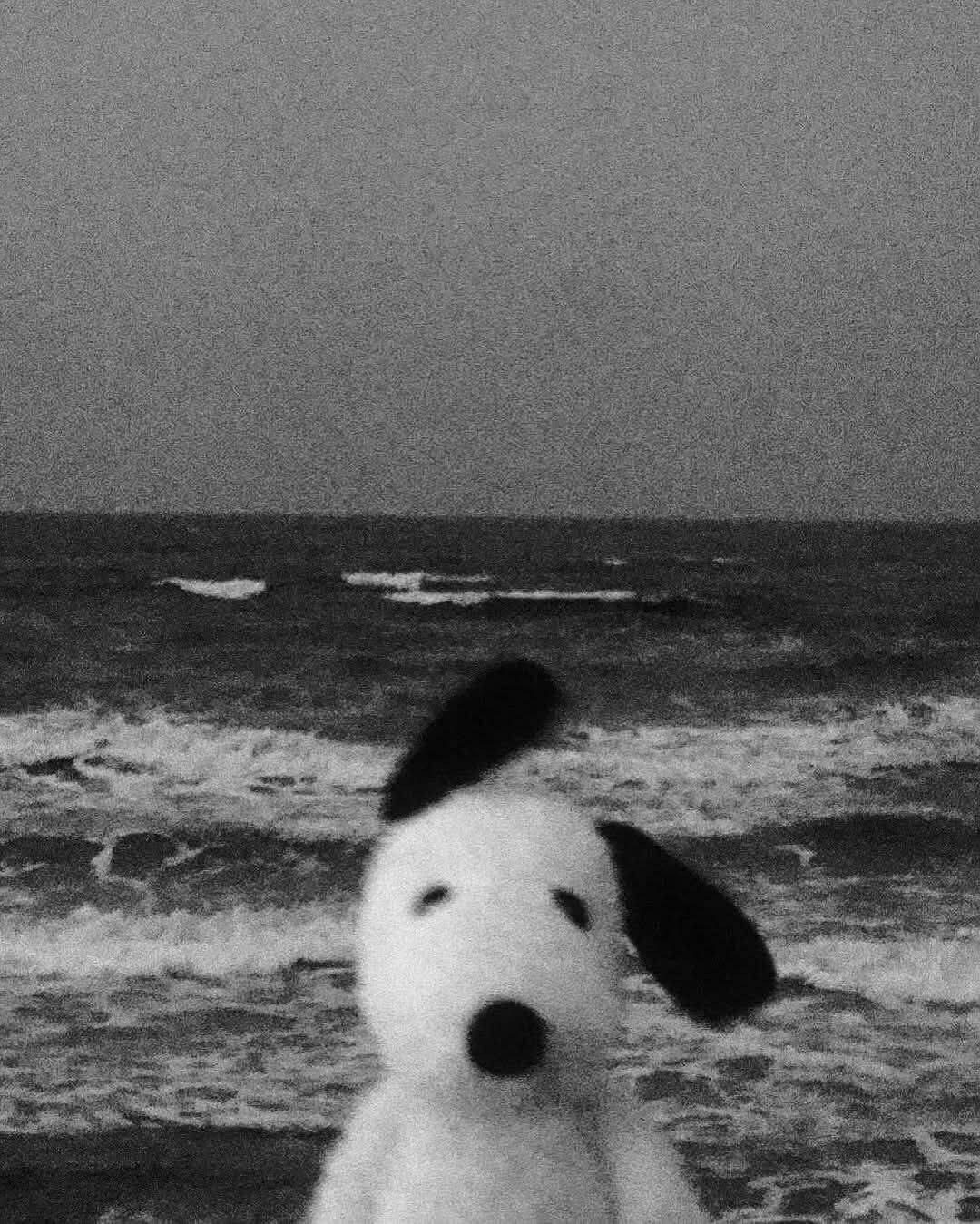 Black and White pfp Profile Picture Snoopy at the Beach