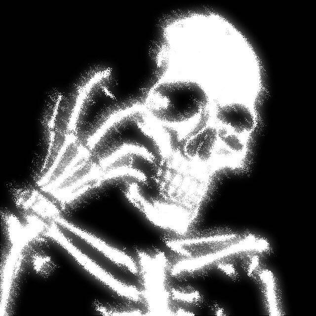 Eerie Skeleton Black and White pfp Profile Picture