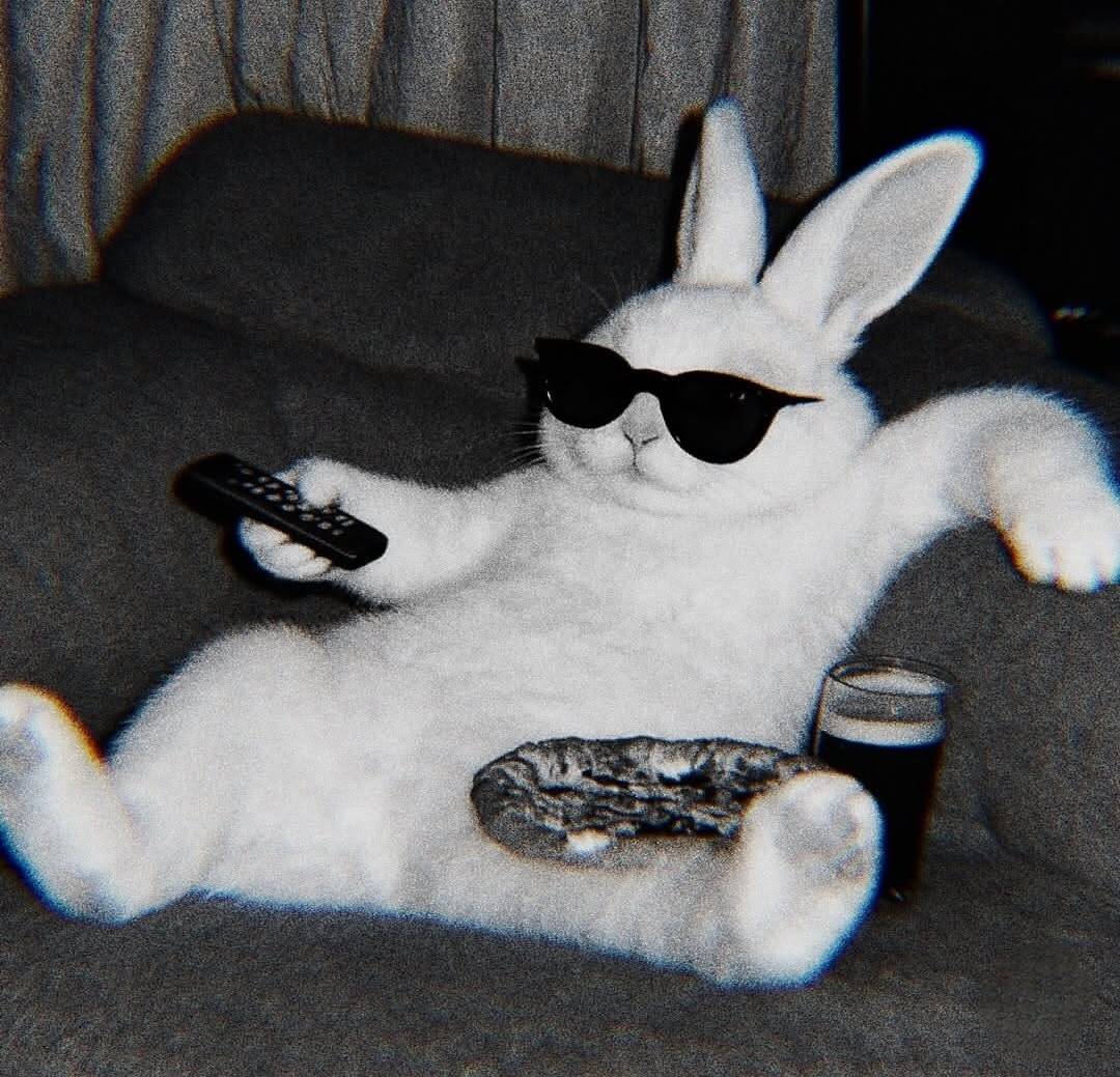 Chill Bunny Black and White pfp Profile Picture