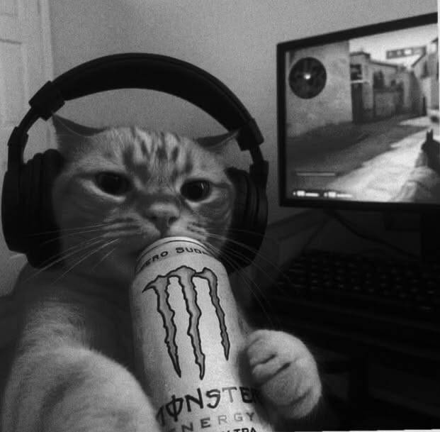 Gamer Cat Black and White pfp Profile Picture