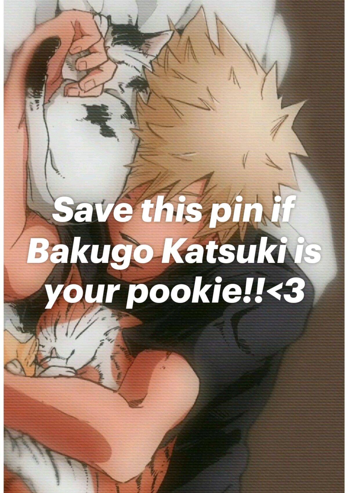 Bakugo pfp Profile Picture Sleeping with Cats