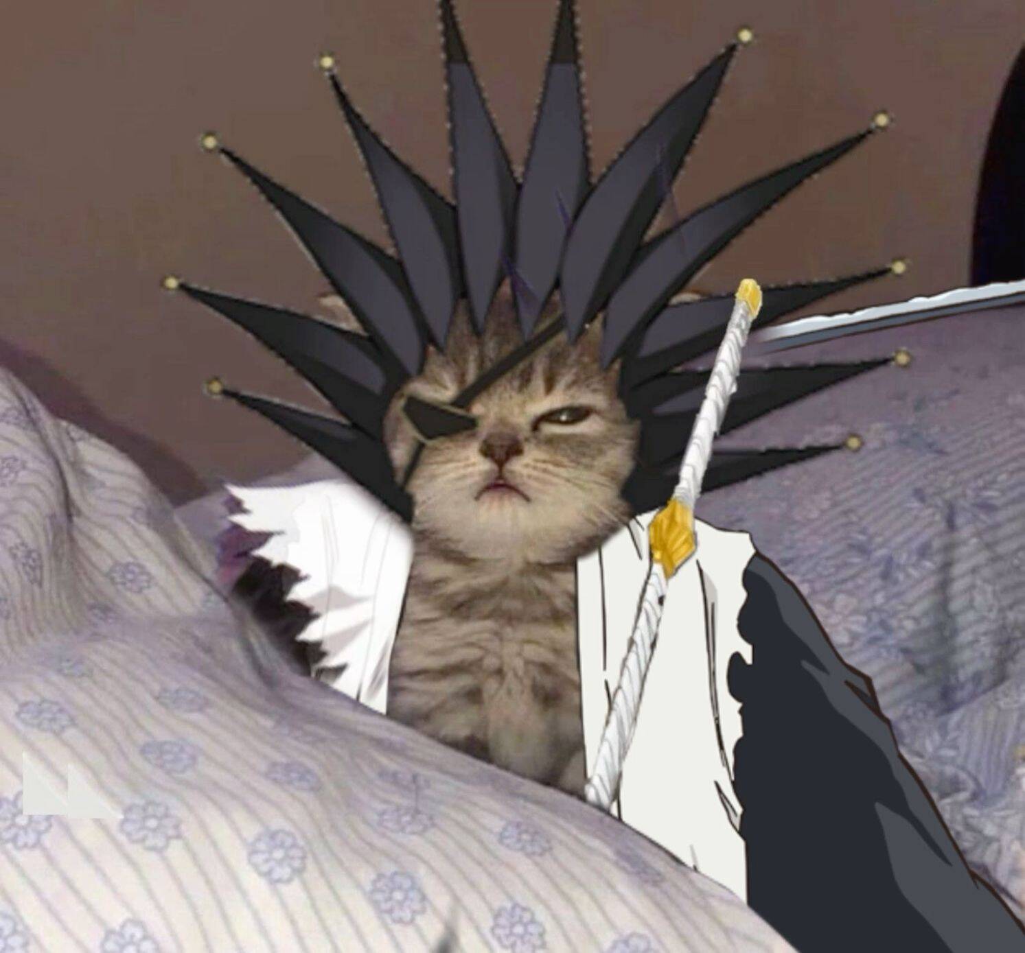 Bleach pfp Profile Picture Kenpachi Zaraki Cat Cosplay