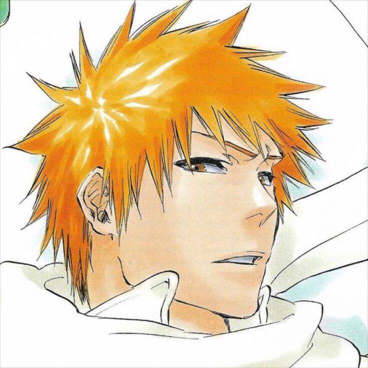 Bleach pfp Profile Picture Ichigo Kurosaki Shinigami