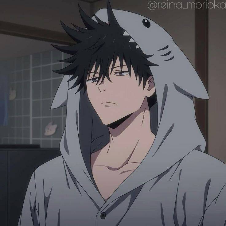 JJK pfp Profile Picture Megumi Fushiguro Shark Hoodie