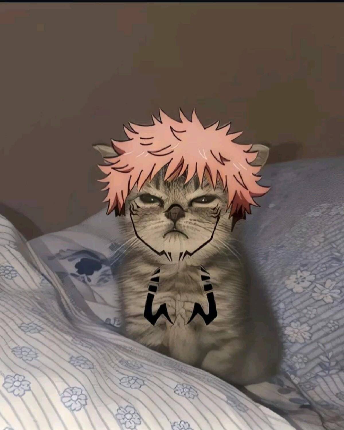 JJK pfp Profile Picture Cat with Pink Hair and Sukuna Marks