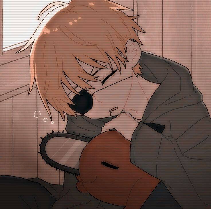 Denji pfp Profile Picture with Pochita Cuddling Chainsaw Man