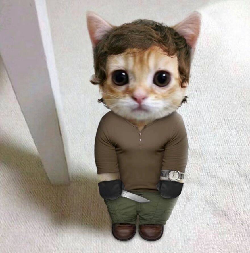 Dexter pfp Profile Picture Cute Cat with Knife