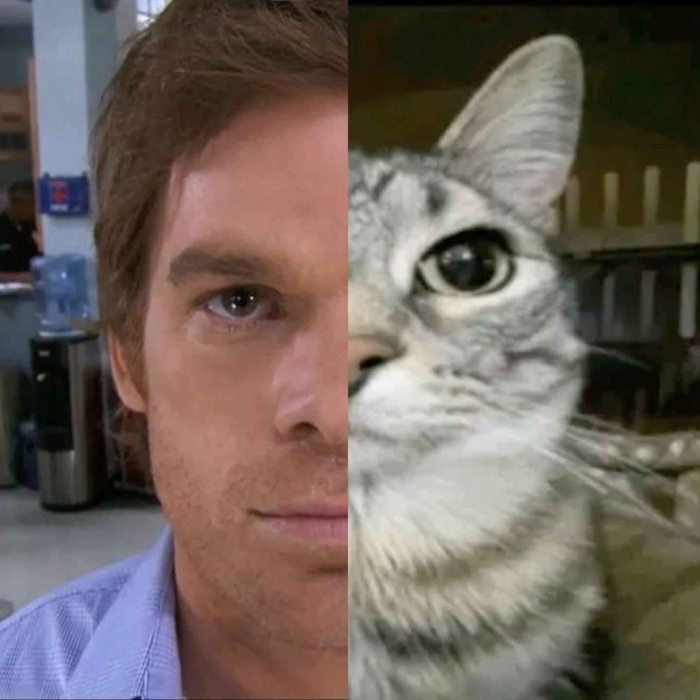 Dexter pfp Profile Picture with Intense Expression