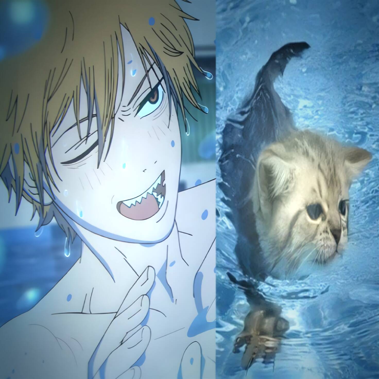 Denji pfp Profile Picture with Cat in Water