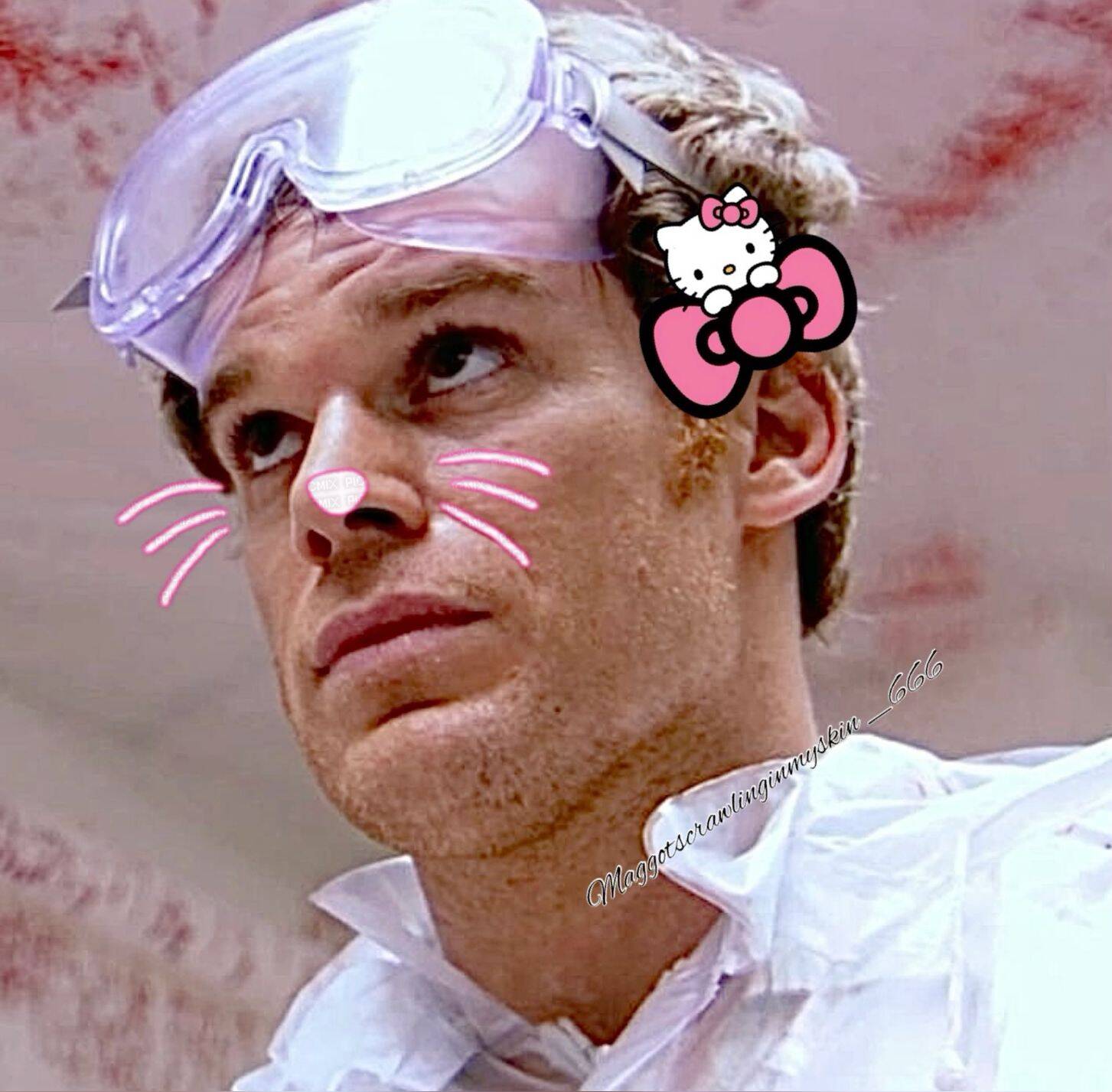Dexter pfp Profile Picture with Cute Hello Kitty Accessories