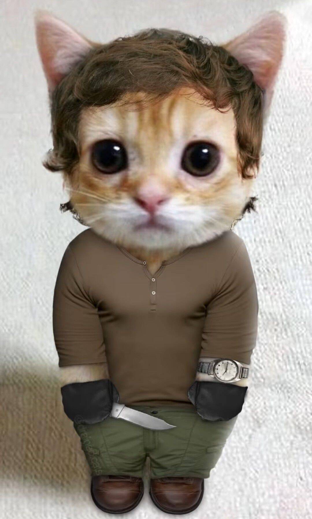 Dexter pfp Profile Picture Cute Cat with Knife and Watch