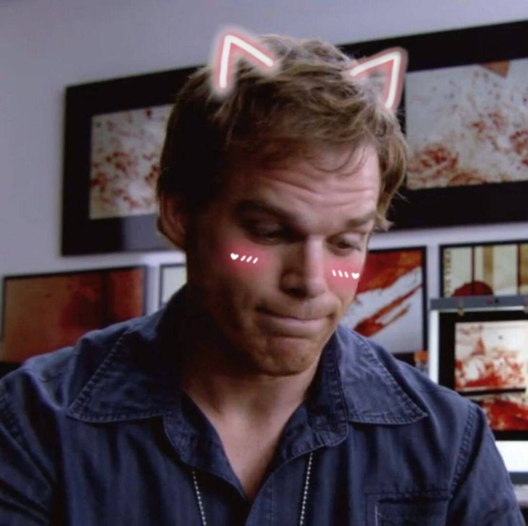 Dexter pfp Profile Picture with Cute Cat Ears and Blushing Cheeks
