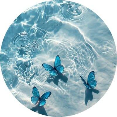 Blue pfp Profile Picture Aesthetic Butterflies Water Reflection