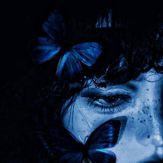 Blue pfp Profile Picture Aesthetic Butterflies and Dark Tones