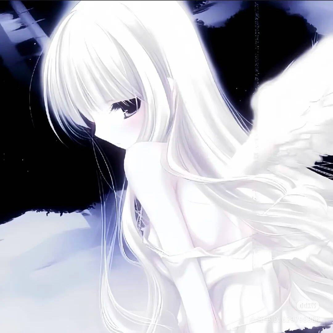 Anime Girl pfp Profile Picture with Angel Wings and Long White Hair