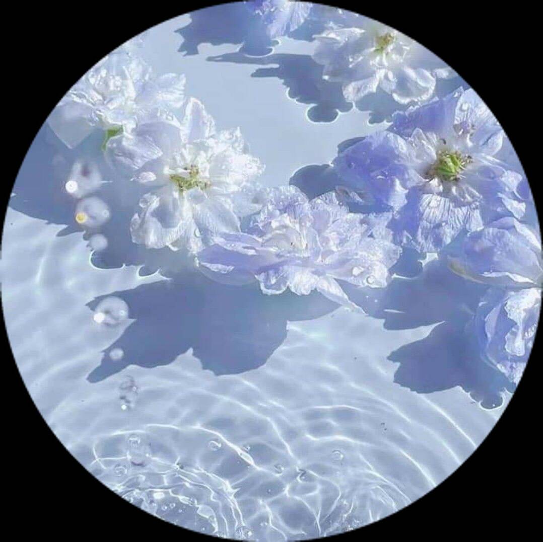 Blue pfp Profile Picture Aesthetic Floral Water Reflection