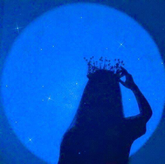 Blue pfp Profile Picture Silhouette Moonlight Crown