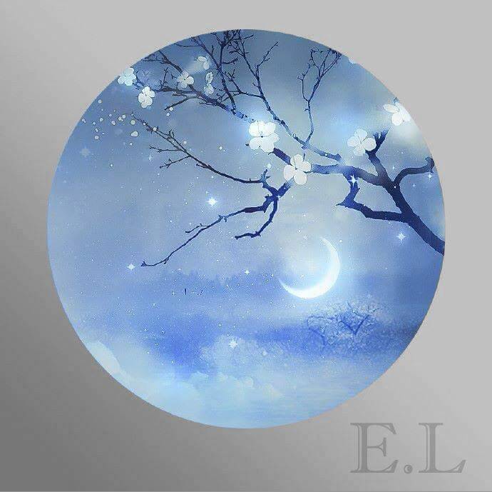 Blue pfp Profile Picture Aesthetic Moonlight Blossoms