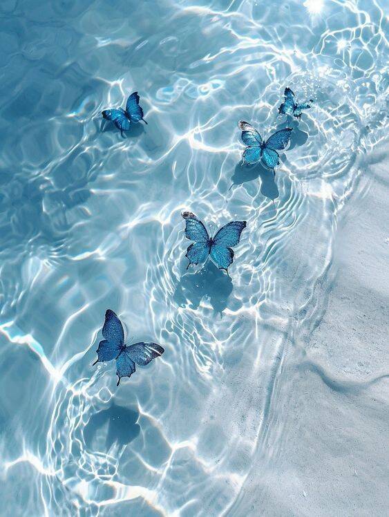 Blue pfp Profile Picture Butterfly Water Reflection