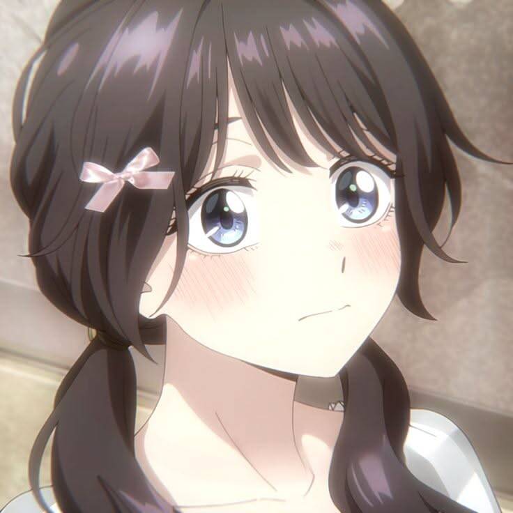 Anime Girl pfp Profile Picture with Long Brown Hair and Big Blue Eyes