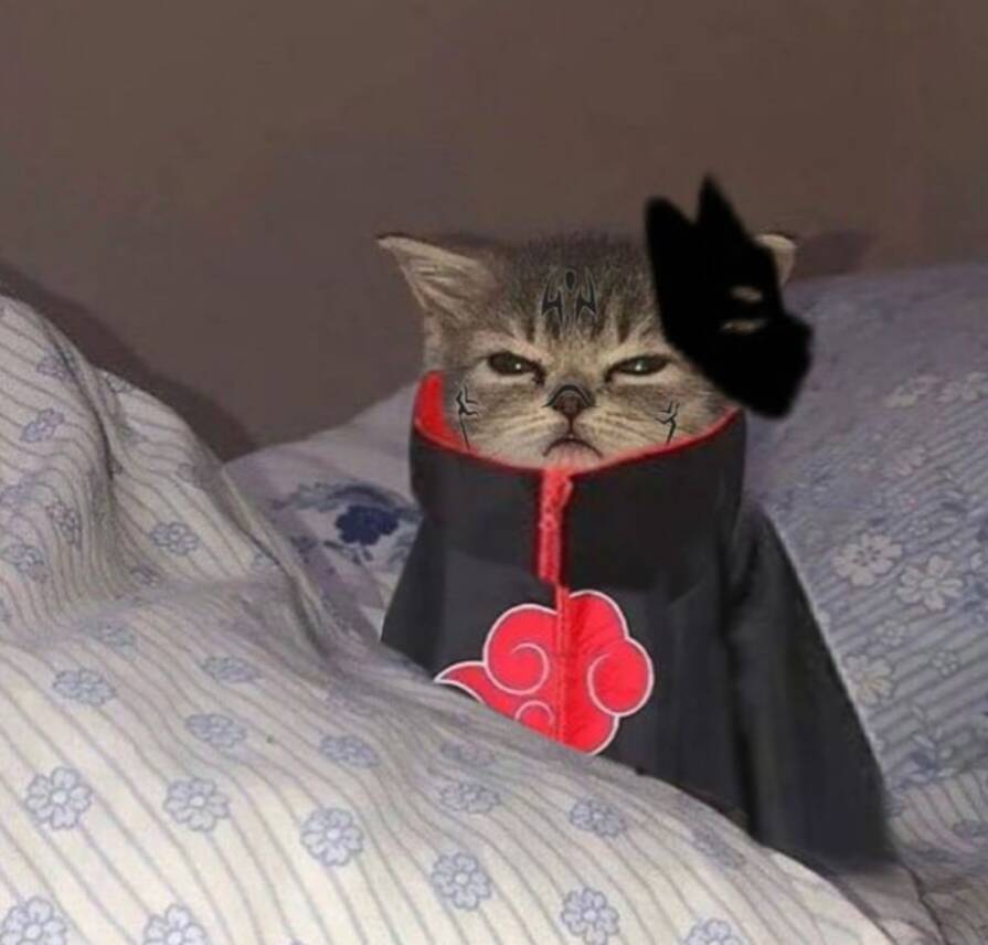 Obito pfp Profile Picture Cat in Akatsuki Cloak