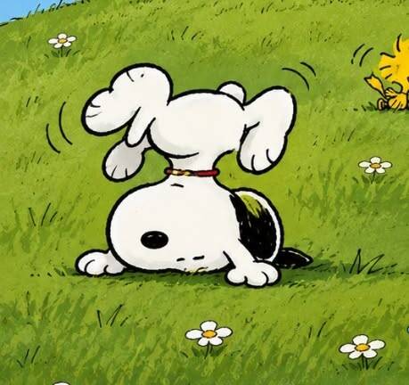 Snoopy pfp Profile Picture Doing a Handstand