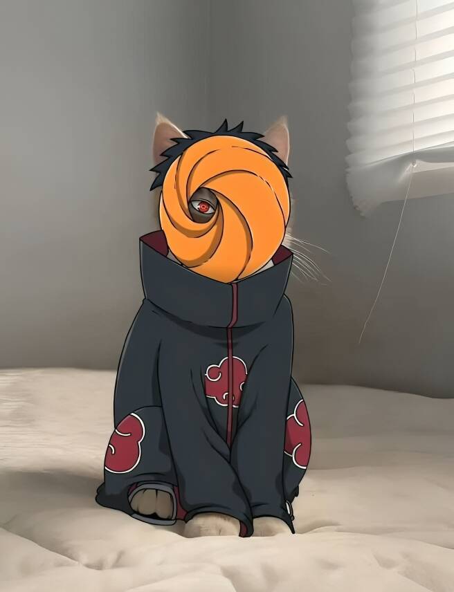 Obito pfp Profile Picture Cat in Akatsuki Cloak with Orange Spiral