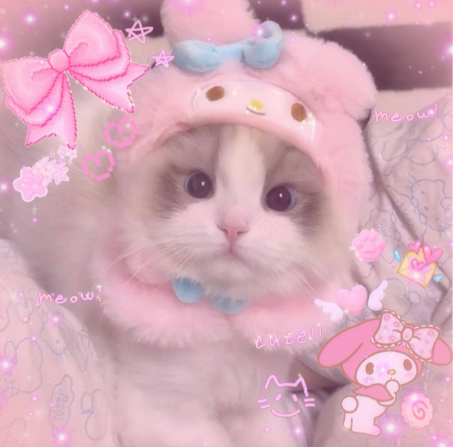 My Melody pfp Profile Picture Cute Cat in Pink Hat