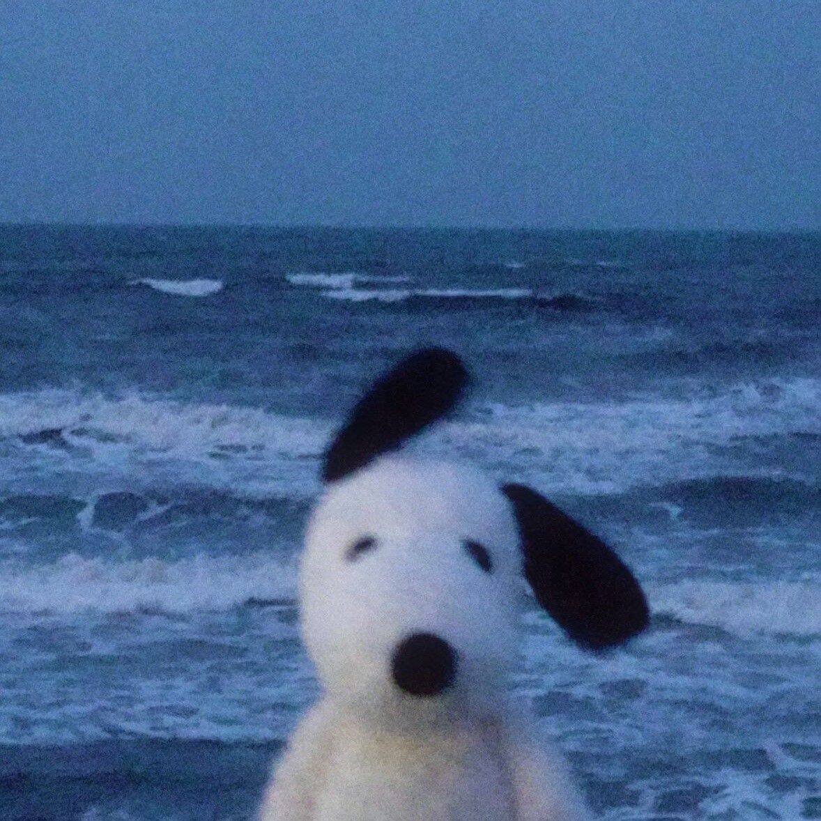 Snoopy pfp Profile Picture by the Ocean Waves